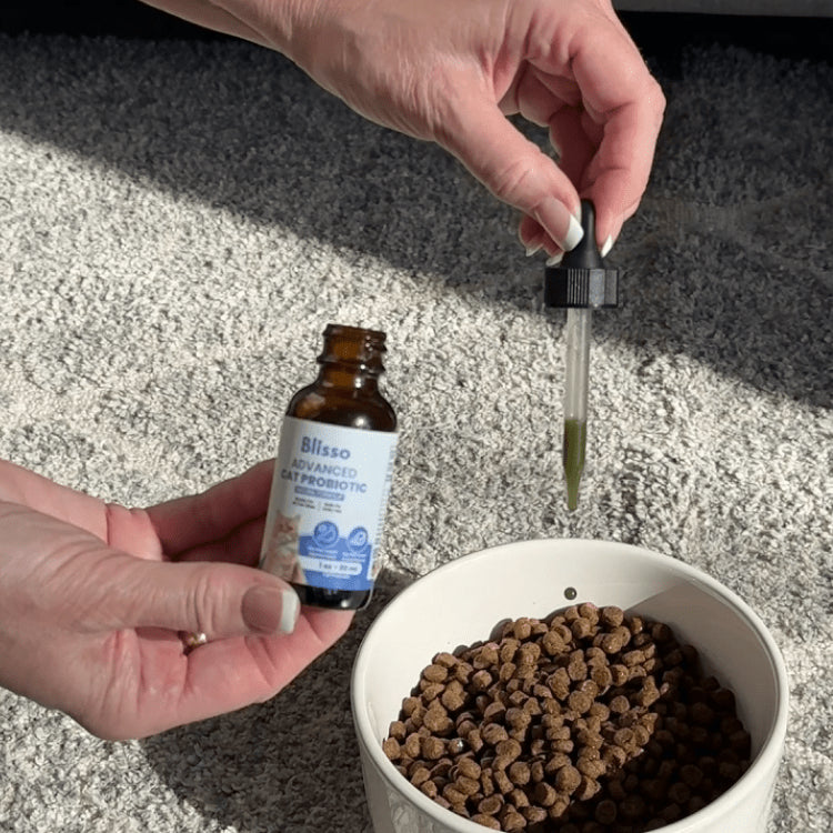 1x Blisso Advanced Cat Probiotic