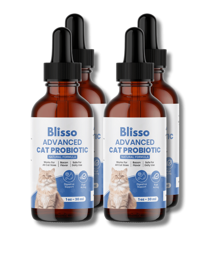 4x Blisso Advanced Cat Probiotic | Cat Probiotic for Diarrhea & Kidney Support