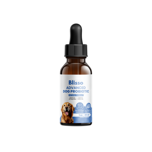 1x Blisso Advanced Dog Probiotic