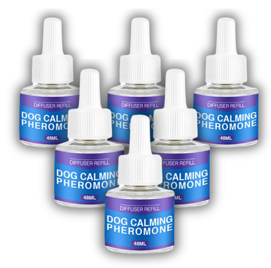 Special Offer - 6x Blisso Dog Pheromone Refills