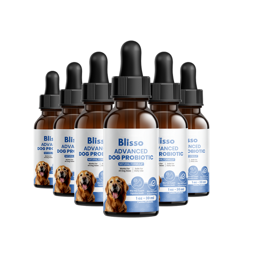 6x Blisso Advanced Dog Probiotic