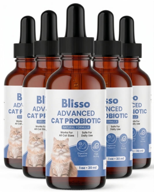 6x Blisso Advanced Cat Probiotic