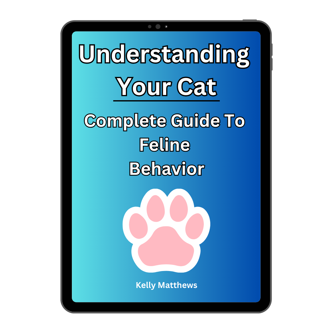 Understanding Your Cat: A Complete Guide To Feline Behavior