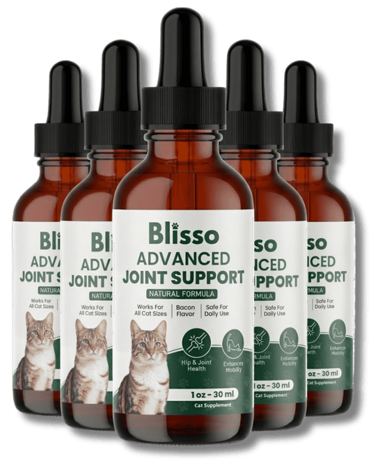 6x Blisso Advanced Joint Support